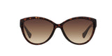 50213 - Tortoise - Brown Smoky Gradient