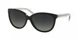 Coach L135 8153 Sunglasses