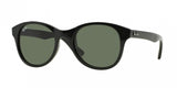 Ray Ban 4203 Sunglasses