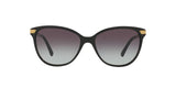 30018G - Black - Gray Gradient