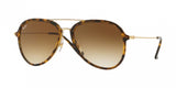 Ray Ban 4298 Sunglasses