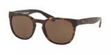 Polo 4099 Sunglasses