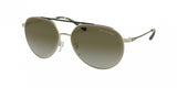 Michael Kors Antigua 1041 Sunglasses