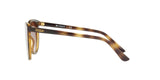 W65613 - Brown Gradient