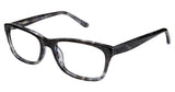Alexander 0900 Eyeglasses