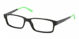 Polo 2095 Eyeglasses