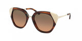 Ralph Lauren 8178 Sunglasses