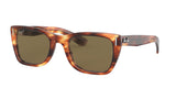 Ray Ban Caribbean 2248 Sunglasses