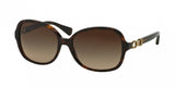 Coach L096 Cole 8123 Sunglasses