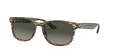 Ray Ban 2184 Sunglasses