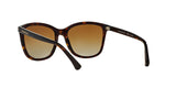 5026T5 - Havana - Polar Brown Gradient