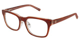 Ann Taylor TYAT401 Eyeglasses