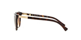 137813 - Havana - Brown Gradient