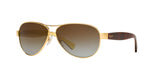106/T5 - Gold - Brown Gradient Polarized