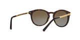 3106T5 - Havana - Brown Gradient Polarized