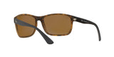 894/83 - Havana - Polar Total Brown