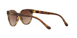 W65613 - Havana - Brown Gradient