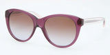 Coach 8064 Sunglasses