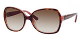 Kate Spade Halsey Sunglasses