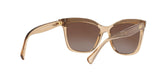 1688T5 - Beige - Brown Gradient Polarized