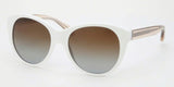 Coach 8064 Sunglasses