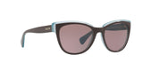 16477N - Brown - Purple Brown Solid