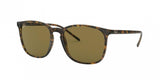 Ray Ban 4387 Sunglasses