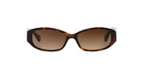 500113 - Havana - Brown Gradient