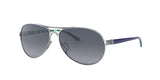 407907 - Silver - Grey Gradient Polarized