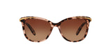 1463T5 - Havana - Brown Gradient Polarized