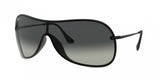 Ray Ban 4411 Sunglasses