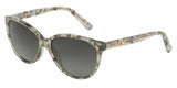 Dolce & Gabbana Iconic Logo 4171PM Sunglasses