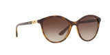 W65613 - Havana - Brown Gradient