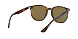 710/73 - Havana - Dark Brown