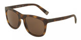 Dolce & Gabbana 6102 Sunglasses