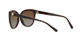 3006T5 - Havana - Brown Gradient Polarized