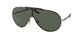 Polo 3132 Sunglasses