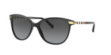 3001T3 - Black - Polar Grey Gradient
