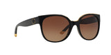 1312T5 - Black - Brown Gradient Polarized