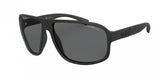Emporio Armani 4130 Sunglasses