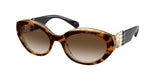 Bvlgari 8227B Sunglasses