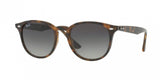 Ray Ban 4259 Sunglasses