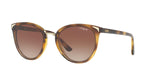 W65613 - Brown Gradient