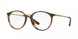 Ray Ban 7083D Eyeglasses