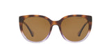 573683 - Dark Brown Polar