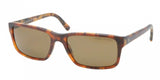 Polo 4076 Sunglasses