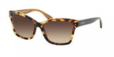 Coach L084 Archie 8107 Sunglasses