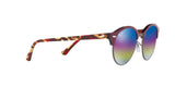 1222C2 - Bordeaux - Light Grey Mirror Rainbow 1