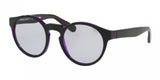 Polo 4101 Sunglasses