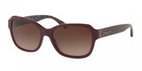 Coach L1011 8232F Sunglasses